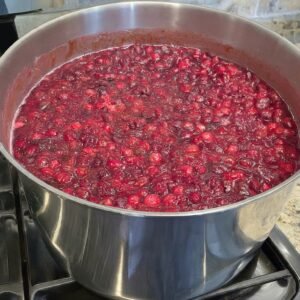 Gemini_Generated_Image_r6b70r6b70r6b70r-300x300 Cranberry Juice 101 : Health Benefits, Recipe, and facts